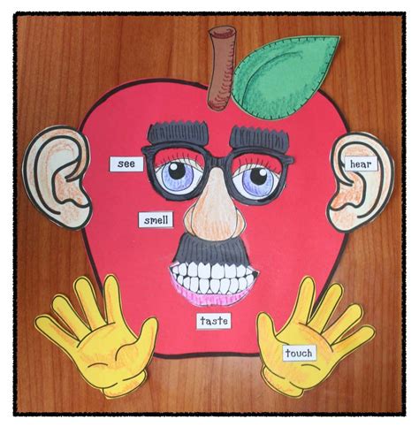 studying   senses  apples  senses activities apple