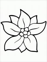 Jasmine Flower Coloring Pages Printable Getcolorings Color Unique Print sketch template