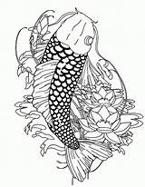 Coloring Fish Pages Coy Popular Koi sketch template