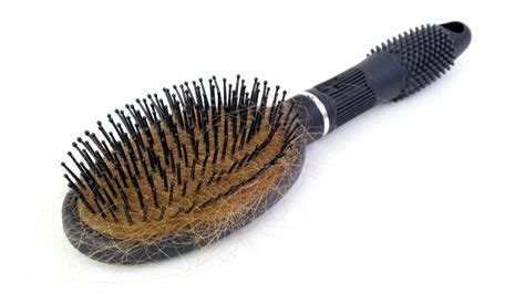 clean hairbrushes  combs properly easy  quick