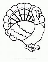 Turkey Coloring Thanksgiving Pope Clipground Coloringhome sketch template