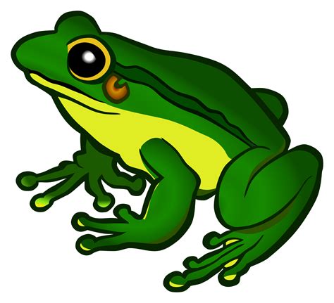 clipart frog coloured