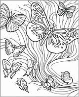 Butterfly Coloring Pages Adult Adults Kids sketch template