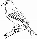 Canario Canary Malvorlagen Vogel Pájaro Animales Categorias sketch template