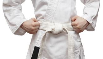 taekwondo belt colors