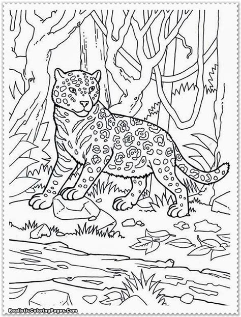 jungle printable coloring pages printable word searches