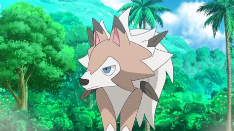 Olivia S Lycanroc Anime Pokémon Wiki Fandom Powered