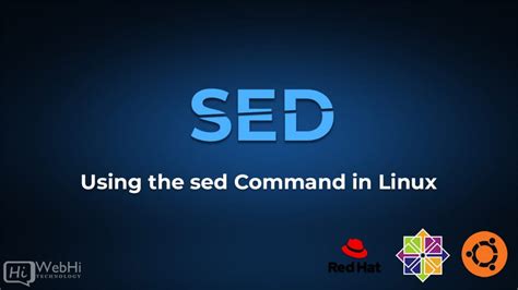 guide    sed command  linux tutorial documentation