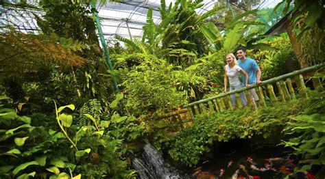 kl butterfly park price  promotions  discounts