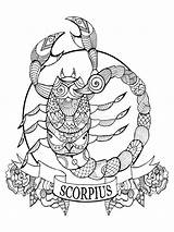 Scorpio Scorpione Scorpion Zodiaco Segno Coloriage Colorir Skorpion Signs Signe Zodiaque Escorpio Mandalas Escorpion Kompliziert Escorpi sketch template