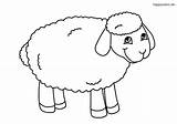 Schaf Sheep Einfaches Ausmalen Bauernhof Malvorlage Lachendes Bauernhoftiere Farm Kuh Lamm Colomio Huhn Calf Süßes sketch template