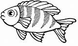 Peixes Peixe Vis Pez Peces Kleurplaat Dourado Pesci Vissen Peixinhos Poisson Pezcado Fundo Pesciolini Martillo Resultado Criativos Rigolo Kleurplaten Pescado sketch template