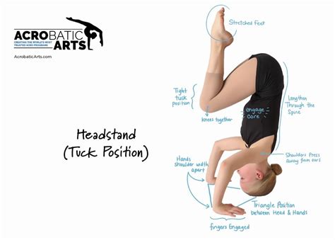 Gymnastics Drills For Headstand My Honest Journey To Handstand And