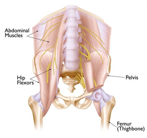 Hip Strain Description Causes Treatment Bouldercentre For