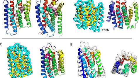 structure  proteins protein choices