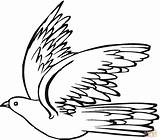 Fliegende Taube Ausmalbild Kolorowanki Gołąb Ptaki Gołębie Gołębia Pigeon Druku Ausdrucken Coloring Lecący Obrazek Tauben sketch template