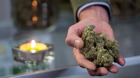 Smoking Pot As A Medicine Raises Questions For Doctors About Side