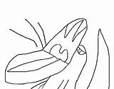 Coloring Dinosaur Screaming Coloringcrew sketch template