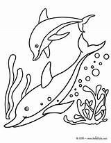 Coloring Dolphins Color Pages Hellokids Dolphin Print sketch template