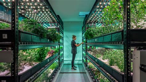 vertical farming  future  agriculture news archinect