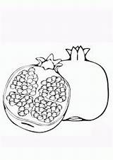 Pomegranate Half Indiaparenting Fruit источник sketch template