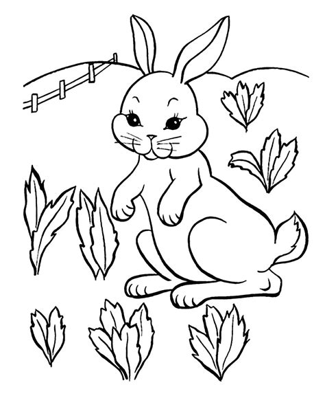 rabbit   field rabbits bunnies kids coloring pages