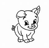 Pig Coloring Baby Pages Cute Cartoon Pigs Drawing Easy Drawings Peppa Color Porky Animal Printable Tattoo Birthday Tattoos Animals Farm sketch template