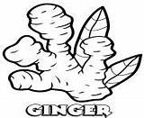Coloring Pages Ginger Vegetable Printable sketch template