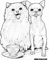 Coloring Pages Adult Dogs Difficult Library Clipart Chihuahua sketch template