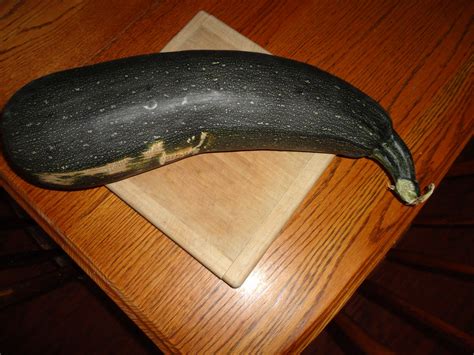 Home Grown Homemade Attack Of The Monster Zucchini