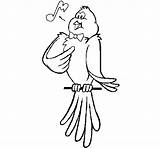 Canary Singing Coloring Coloringcrew sketch template