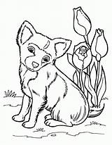 Husky Coloring Pages Puppy Kids sketch template