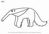 Anteater Draw Cartoon Drawing Step Kids Tutorials Tutorial Animals sketch template