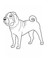 Coloring Shar Pei Pages Funny Dog Printable Supercoloring Dogs sketch template