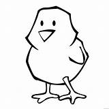 Chick Coloring4free sketch template