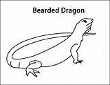 Dragon Bearded Coloring Pages Color Animalstown Printable Animals Designlooter Via Drawings 502px 63kb sketch template