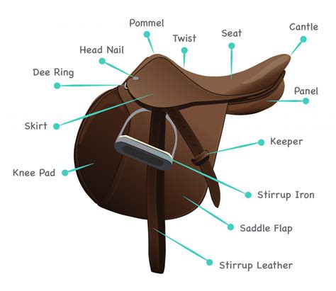horse harness diagram parts wiring diagram  schematics