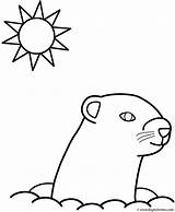 Groundhog Coloring Animals Groundhogs Cliparts Color Clipart Print Library Favorites Bigactivities Add sketch template