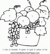 Fruit sketch template