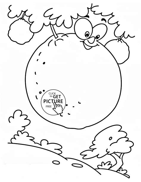 oranges   tree fruit coloring page  kids fruits coloring pages