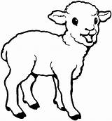 Sheep Coloring Pages Printable Cute Kids Lamb Color Print Children Template Baby Little Animals Spring sketch template