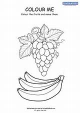 Grapes Banana Coloring Schoolmykids sketch template