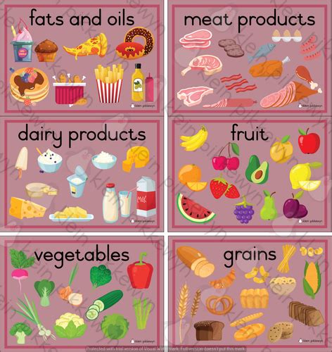 food groups  food pyramid teacha