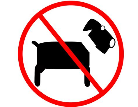 clipart  pets  animals