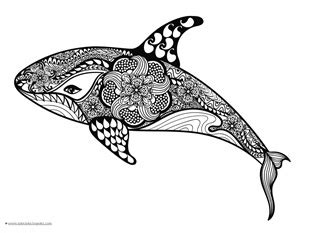dolphins  whales coloring pages