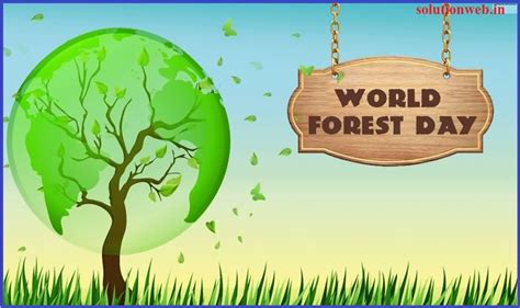 world forest day quotes st march