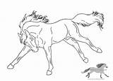 Horse Bucking Lineart Coloring Pages Drawing Friesian Use American Deviantart Drawings Color Print Getcolorings Getdrawings Paintingvalley Colori sketch template