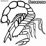 Scorpion Colorings sketch template
