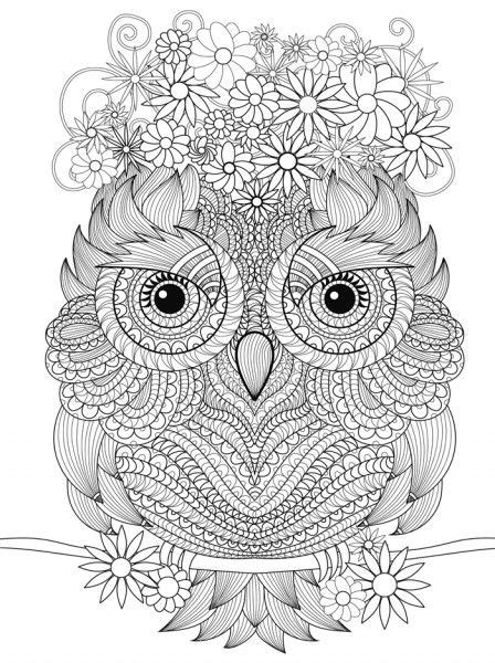 pin  barbara  coloring owl owl coloring pages mandala coloring