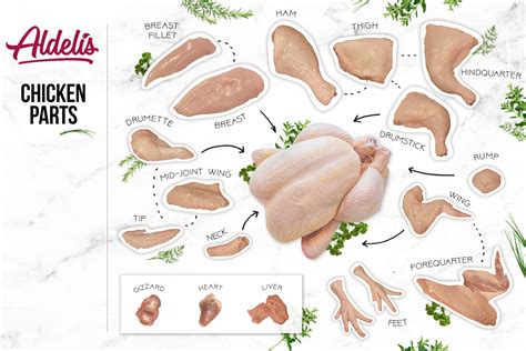 easiest    chicken pieces names